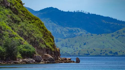 mawan-komodo mawan-komodo