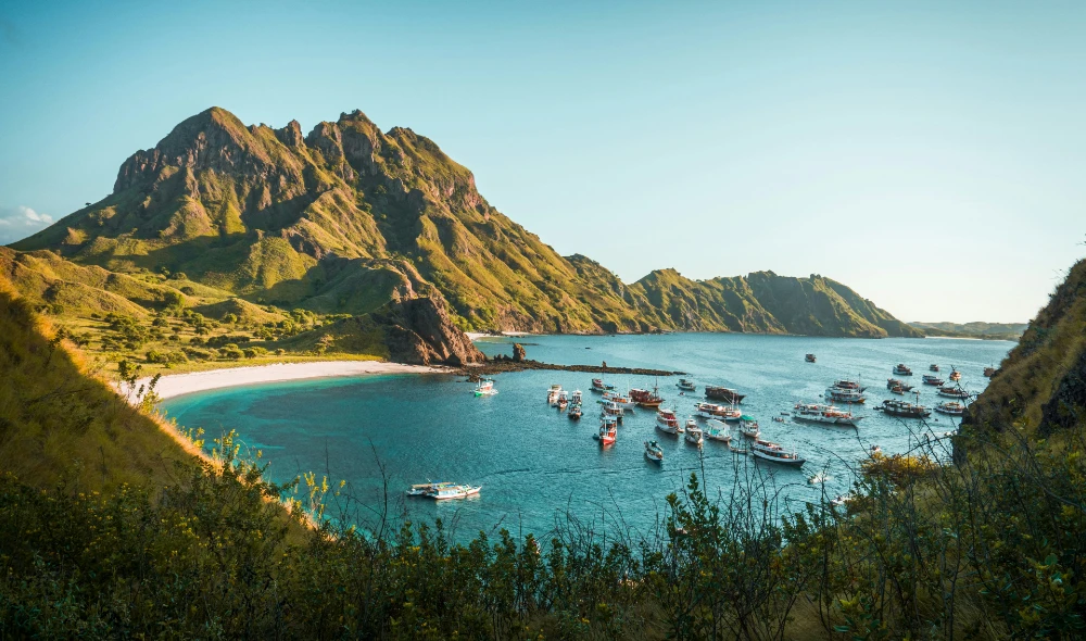 Blue Lotus: Where Diving Passion Meets Maritime Heritage