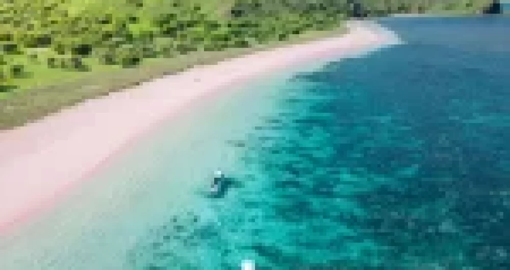 🌿 Sustainable by Nature: How Blue Lotus Embeds Ecotourism Into Every Voyage