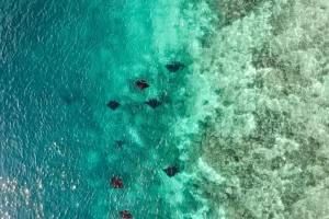 aruka-death-JgV4oKfkT3E-unsplash (1)