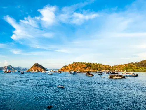 Panoramic view of Labuan Bajo harbor filled with liveaboard vessels preparing for Komodo diving expeditions in the Coral Triangle
