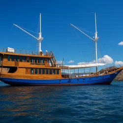 ⚓️ Blue Lotus: Where Diving Passion Meets Maritime Heritage