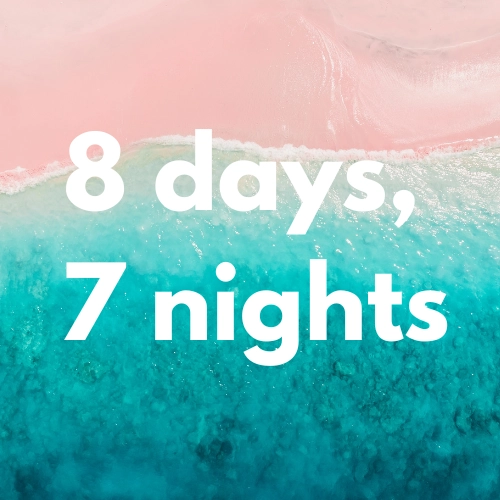 Our most immersive expedition—explore Komodo’s remote dive sites, walk among dragons, and relax on Pink Beach over eight unforgettable days.