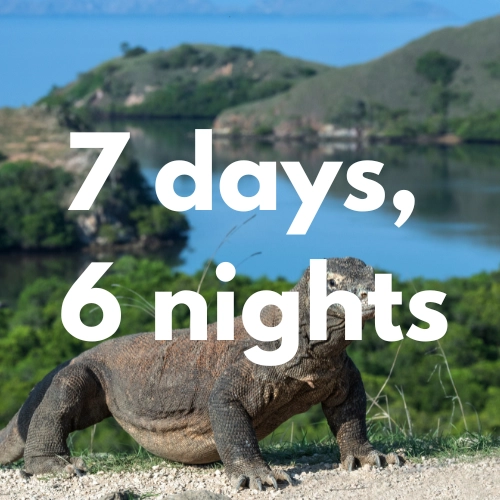 Designed for divers who want it all—this expedition dives deeper into Komodo’s wildest sites, from adrenaline-pumping currents to secluded macro havens.