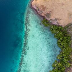 🌿 Sustainable by Nature: How Blue Lotus Embeds Ecotourism Into Every Voyage