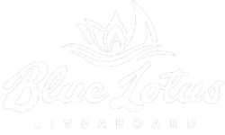 Logo Blue Lotus - White
